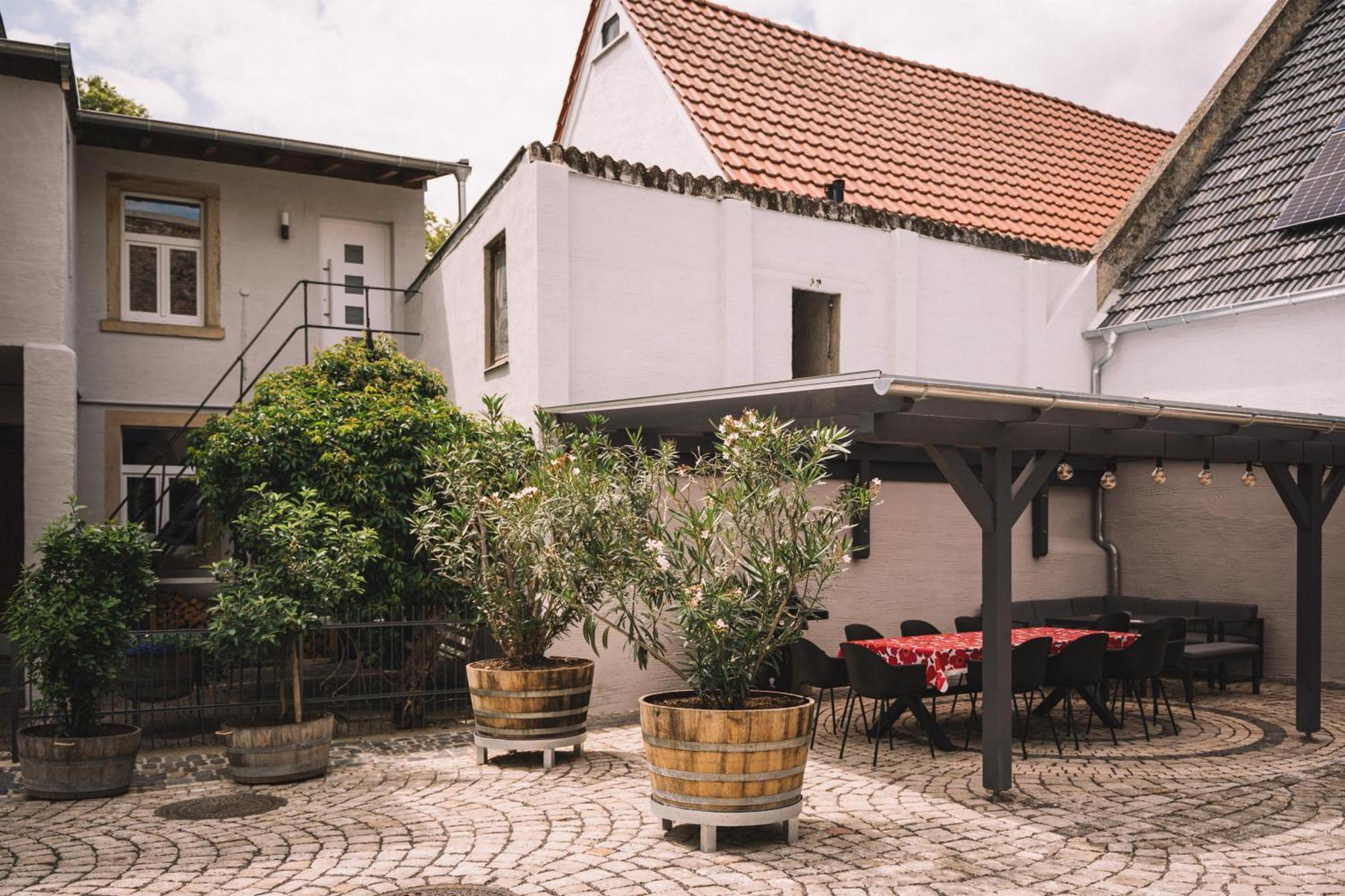 Apartament Weingut Petershof Alzey Zewnętrze zdjęcie