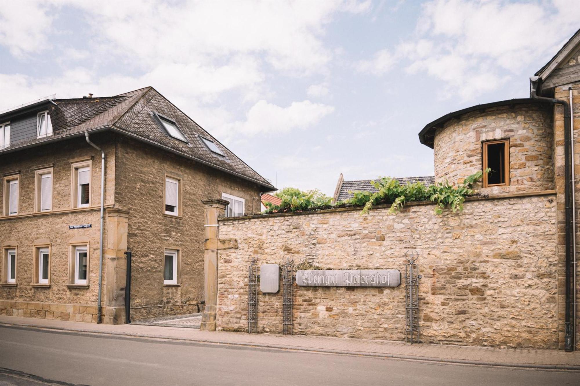 Apartament Weingut Petershof Alzey Zewnętrze zdjęcie